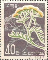 (1967-030) Марка Северная Корея "Пижма обыкновенная"   Лекарственные растения III Θ